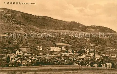 AK / Ansichtskarte Bad_Blankenburg Panorama Bad_Blankenburg