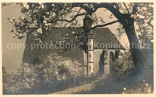 AK / Ansichtskarte Creglingen Herrgottskirche Baumbluete Creglingen