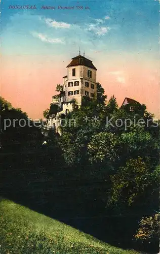 AK / Ansichtskarte Donautal Schloss Bronnen Donautal