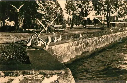 AK / Ansichtskarte Waren_Mueritz Uferpromenade an der Mueritz Mecklenburgische Seenplatte Waren Mueritz