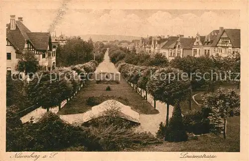 AK / Ansichtskarte Naumburg_Saale Louisenstrasse Naumburg_Saale