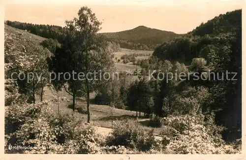 AK / Ansichtskarte Brotterode Blick ins Trusenthal Brotterode