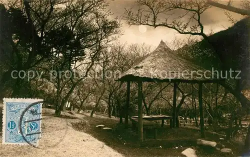 AK / Ansichtskarte Japan Park Japan