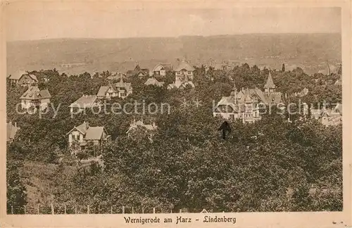 AK / Ansichtskarte Wernigerode_Harz Lindenberg Wernigerode Harz