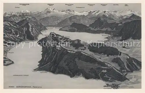 AK / Ansichtskarte Buergenstock_Vierwaldstaettersee Alpenpanorama aus der Vogelperspektive Buergenstock