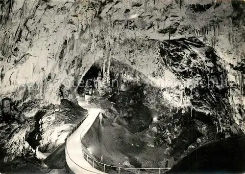 AK / Ansichtskarte Postojnska Jama Grotte Postojnska