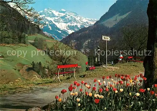 Flueeli Ranft Panorama Blick auf Melchtaler Berge Tulpen Flueeli Ranft