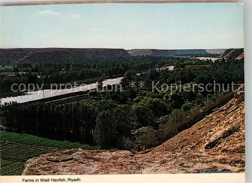 AK / Ansichtskarte Riyadh Farms in Wadi Hanifah Riyadh