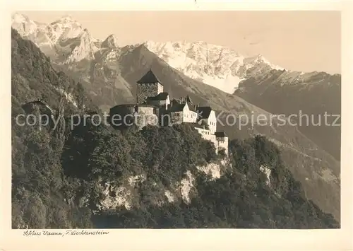 AK / Ansichtskarte Liechtenstein  Schloss Vaduz 