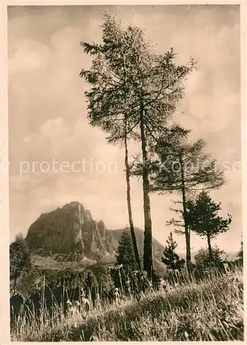 AK / Ansichtskarte Dolomiten_Langkofel Il Sassolungo Landschaftspanorama Dolomiten_Langkofel