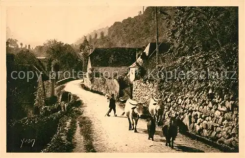 AK / Ansichtskarte Saint Savin_Gironde Route a Cauterets K?he Saint Savin Gironde