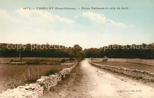 AK / Ansichtskarte Virollet Chene Patineau et coin de foret Virollet