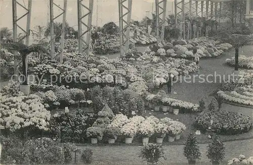 AK / Ansichtskarte Gand_Belgien 3 Internationale Exposition Floralies Gantoises Gand Belgien