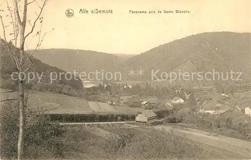 AK / Ansichtskarte Alle_sur_Semois Panorama pris de Dame Blanche Alle_sur_Semois