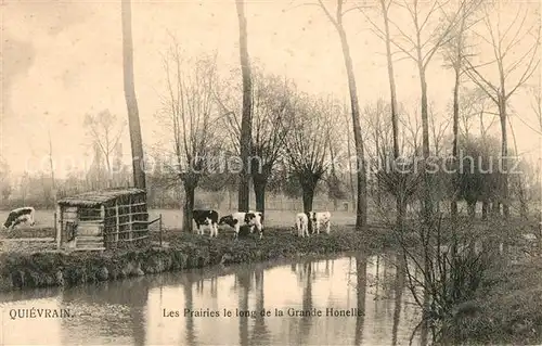 AK / Ansichtskarte Quievrain Les Prairies le long de la Grande Honelle Quievrain