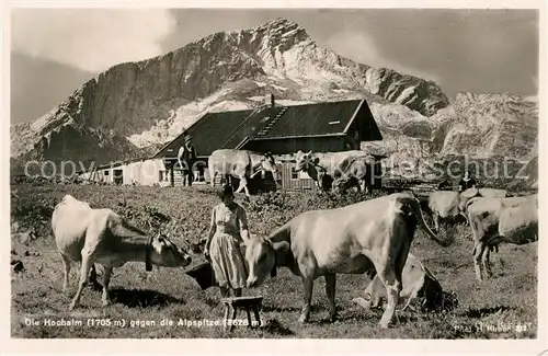 AK / Ansichtskarte Hochalmspitze K?he Alm Alpspitze Hochalmspitze