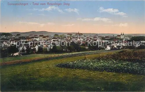 AK / Ansichtskarte Donaueschingen Panorama Braeunlinger Steig Donaueschingen