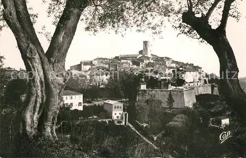 AK / Ansichtskarte Saint Paul de Vence Vue a travers les oliviers Saint Paul de Vence