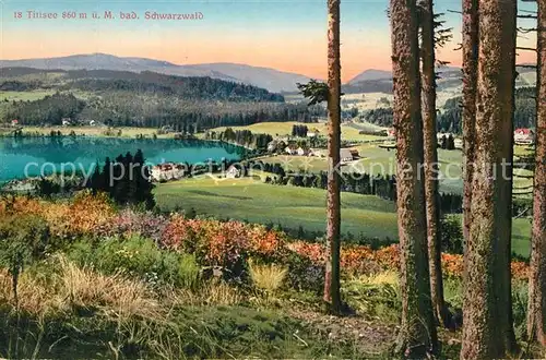 Titisee Panorama Titisee