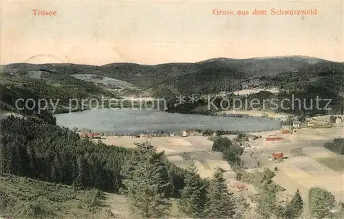 Titisee Panorama Titisee