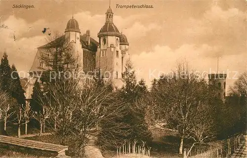 AK / Ansichtskarte Saeckingen_Rhein Trompeterschloss Saeckingen Rhein