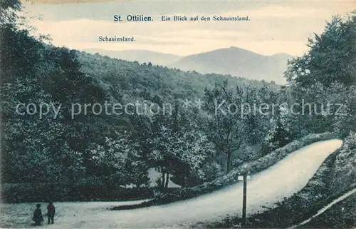 AK / Ansichtskarte St_Ottilien_Freiburg mit Schauinsland St_Ottilien_Freiburg