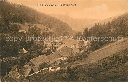 AK / Ansichtskarte Rippoldsau_Schwarzwald_Bad Panorama Rippoldsau_Schwarzwald