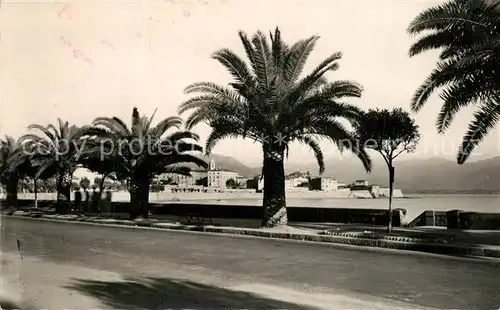 AK / Ansichtskarte Ajaccio Boulevard Albert I Ajaccio