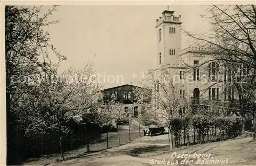 AK / Ansichtskarte Osterberg_Cossebaude Baumblut Kirche Osterberg_Cossebaude