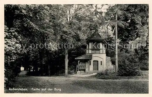 AK / Ansichtskarte Aschersleben Burg Panorama Aschersleben