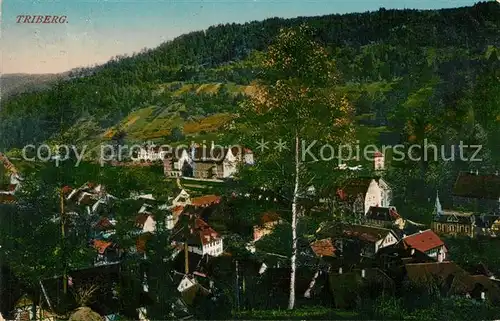 AK / Ansichtskarte Triberg_Schwarzwald  Triberg Schwarzwald