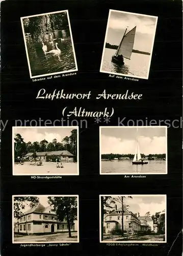 AK / Ansichtskarte Arendsee_Altmark Schwaene HO Strandgaststaette Jugendherberge  Arendsee Altmark