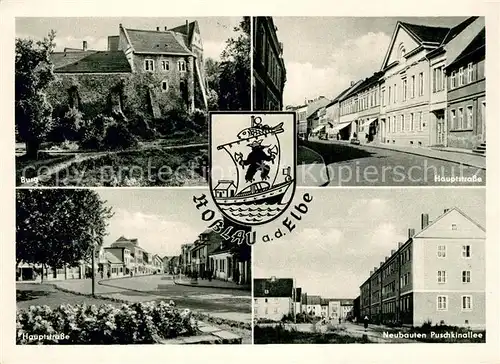 AK / Ansichtskarte Rosslau_Elbe Burg Hauptstrasse Neubauten Puschkinallee Rosslau_Elbe