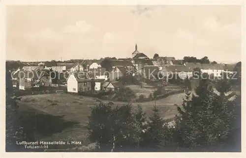 AK / Ansichtskarte Hasselfelde total Hasselfelde