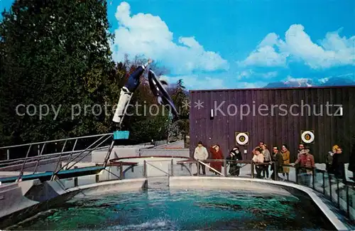 AK / Ansichtskarte Delphine Splasher the Porpoise Vancouver Public Aquarium Stanley Park 