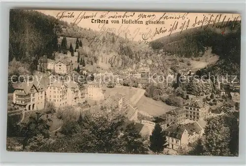 AK / Ansichtskarte Triberg_Schwarzwald von Hoflehen gesehen Triberg Schwarzwald