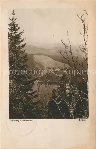 AK / Ansichtskarte Feldberg_Schwarzwald Feldsee Feldberg Schwarzwald