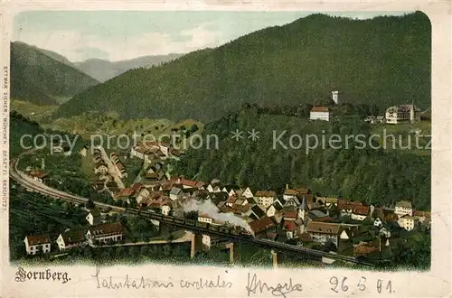 Hornberg_Schwarzwald Panorama  Hornberg Schwarzwald