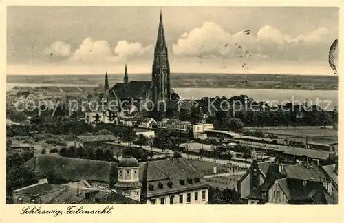 AK / Ansichtskarte Schleswig_Schlei Panorama Schleswig_Schlei