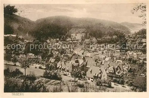 AK / Ansichtskarte Triberg_Schwarzwald Panorama Triberg Schwarzwald