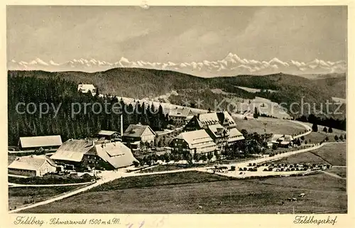 AK / Ansichtskarte Feldberg_Schwarzwald Feldbergerhof Feldberg Schwarzwald