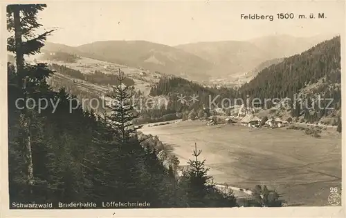 AK / Ansichtskarte Feldberg_Schwarzwald Bruderhalde L?ffelschmiede Feldberg Schwarzwald