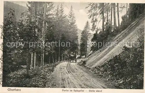 AK / Ansichtskarte Oberharz_Region Spiegeltal Steile Wand Oberharz Region