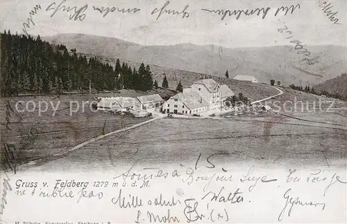 AK / Ansichtskarte Feldberg_Schwarzwald  Feldberg Schwarzwald