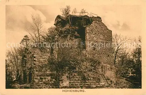 AK / Ansichtskarte Kaiserslautern Hohenburg Kaiserslautern