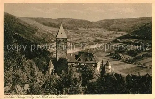 AK / Ansichtskarte Zwingenberg_Neckar Schloss Neckar Zwingenberg Neckar