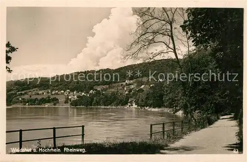 AK / Ansichtskarte Waldshut Tiengen Rheinpartie Waldshut Tiengen