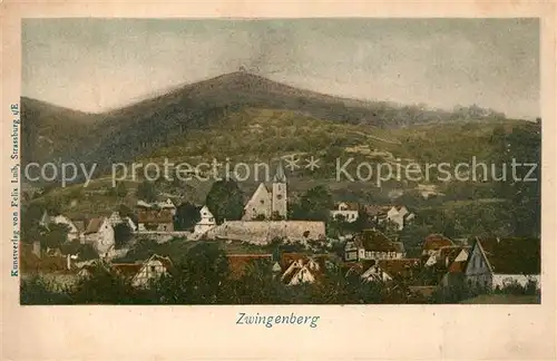 AK / Ansichtskarte Zwingenberg_Neckar  Zwingenberg Neckar