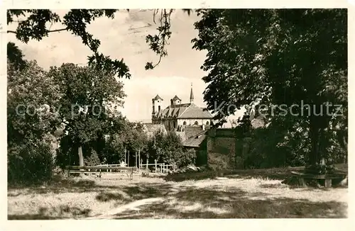 AK / Ansichtskarte Cheb_Eger Blick zur Kirche Alter Baum 