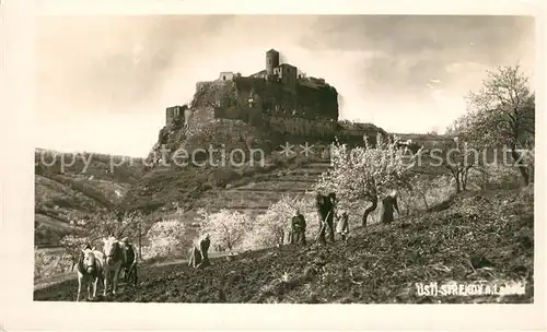 AK / Ansichtskarte Aussig_Tschechien Usti Strekov Burg Schreckenstein Bauern Feldarbeit Aussig Tschechien